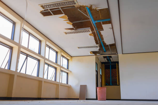 Best Flood damage cleanup  in Mound Bayou, MS