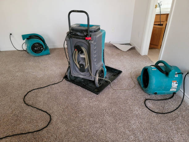 Best Basement water damage restoration  in Mound Bayou, MS