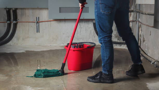 Best Ceiling water damage repair  in Mound Bayou, MS