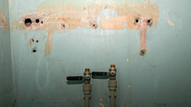Best Water damage mitigation services  in Mound Bayou, MS